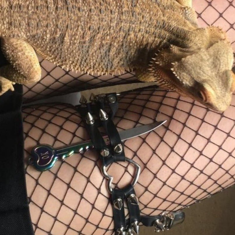 Folding Key Knife - Rainbow - Blades For Babes - Pocket Knife - 7